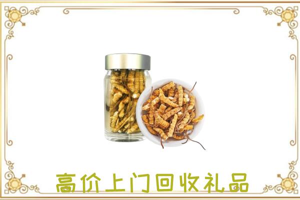 阿拉善周边回收虫草